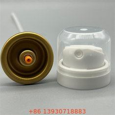 Ống phun nước xịt cơ thể deodorant có thương hiệu tùy chỉnh cho bộ sưu tập nhãn riêng với vòi có thể thay đổi