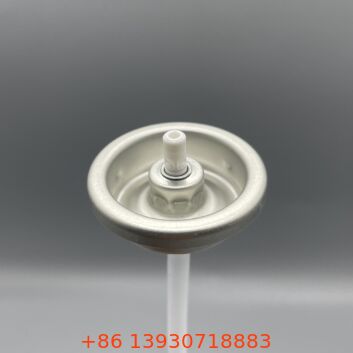 Valve bình xịt thiếc một inch cho ứng dụng dầu gội khô dạng bột