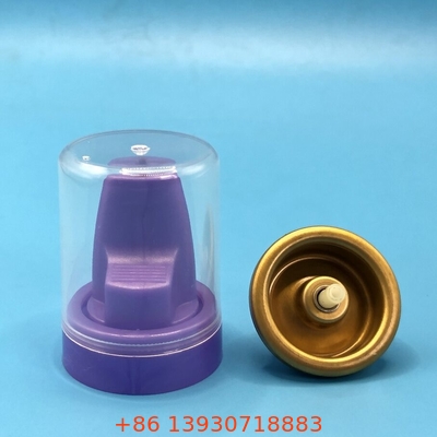 Tất cả tóc tự nhiên Mousse phun van thành phần hữu cơ cho tóc khỏe mạnh và phong cách