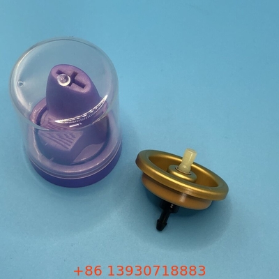 Tất cả tóc tự nhiên Mousse phun van thành phần hữu cơ cho tóc khỏe mạnh và phong cách