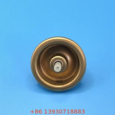 Du lịch thân thiện tóc Mousse Spray Valve Styling trên đường đi