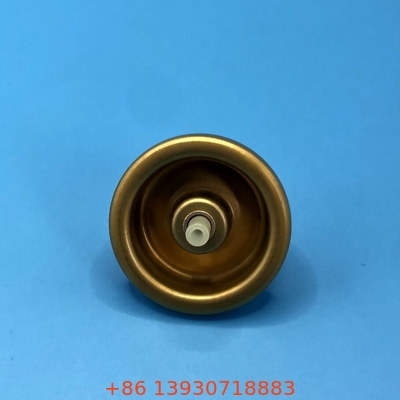 Du lịch thân thiện tóc Mousse Spray Valve Styling trên đường đi