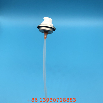 Thép không gỉ Spring phun sơn van bền