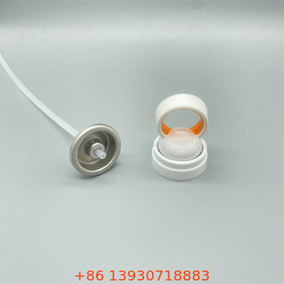 Van phun chăm sóc da tái sử dụng cho vẻ đẹp thân thiện với môi trường bền vững