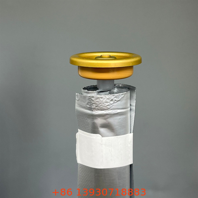 Túi phụ nữ đáng tin cậy trên van cho thùng aerosol với điều khiển phân phối dễ dàng