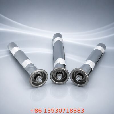 Chuyên nghiệp thép không gỉ nam túi-on-valve với thiết kế kết nối nhanh cho một inch ứng dụng aerosol