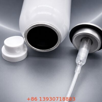 Leak-Proof 0.20cc Spray Pump Aerosol Valve with Bag-on-Valve Compatibility for Precision Dosage